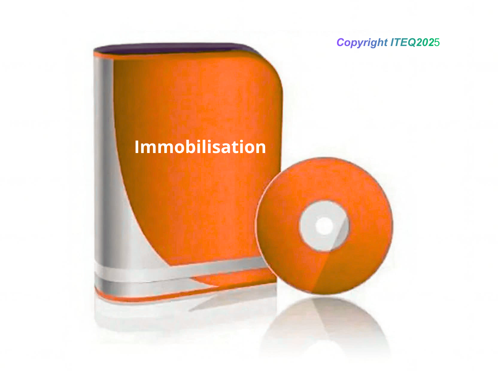 Immobilisations